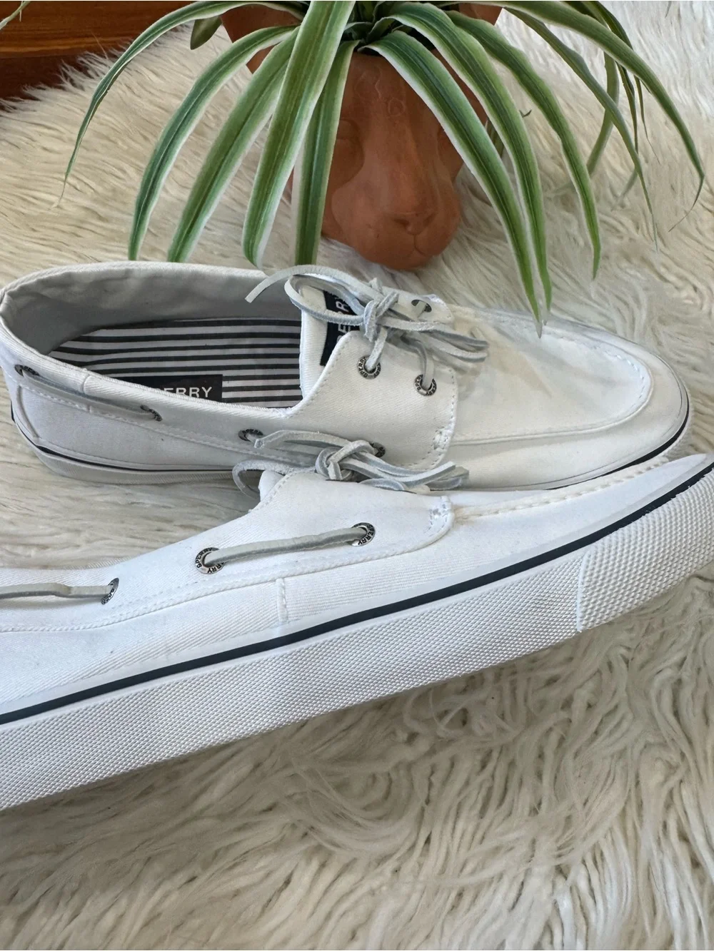 Sperry White Canvas Boat Shoes with Black Stripe